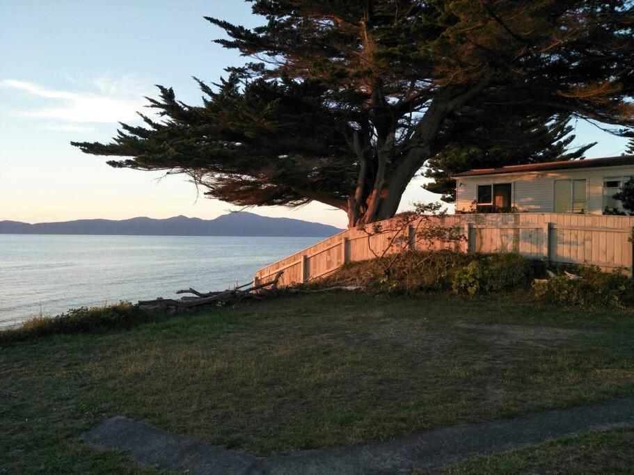 Beachfront Bliss 帕拉帕拉乌穆 外观 照片